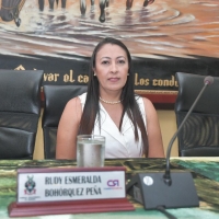 Diputada Esmeralda Bohorquez renunció a la presidencia de la Asamblea