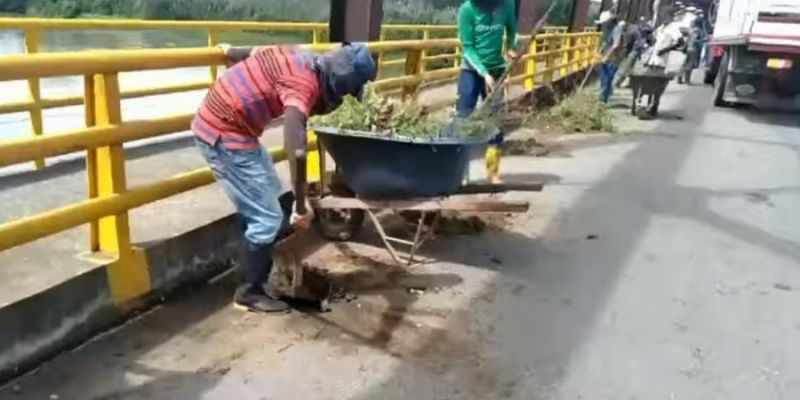 Con pica y pala en mano habitantes y concejales de Hato Corozal hacen limpieza a maleza a puente sobre el río Casanare en límites entre Arauca y Casanare