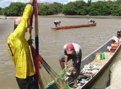 PESCADO