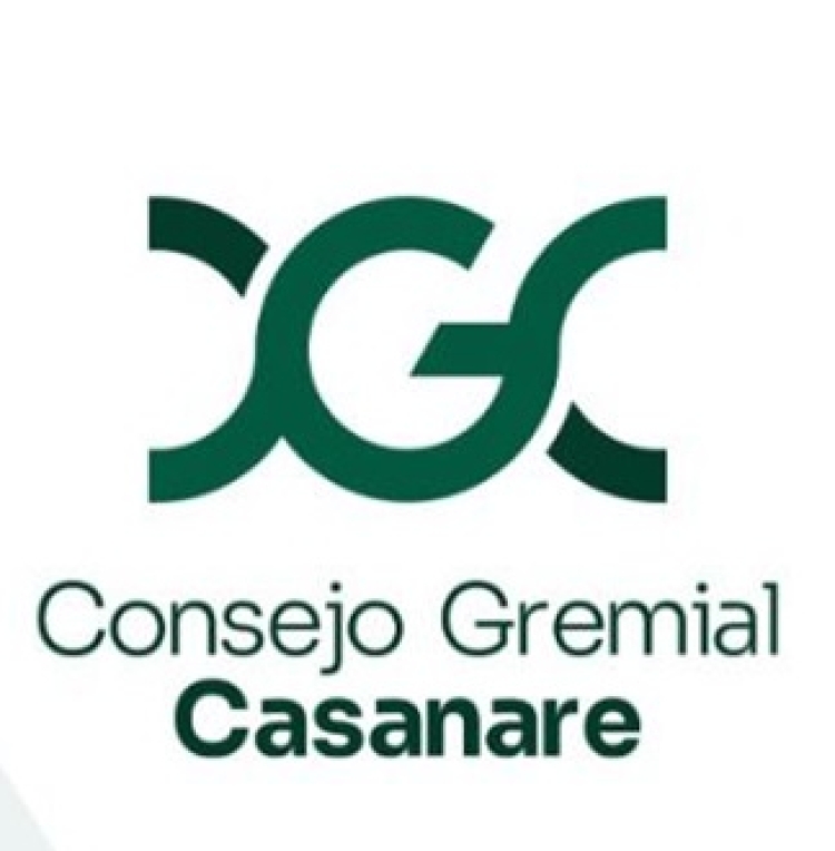 Consejo Gremial de Casanare rechaza bloqueos de vías y pide soluciones estructurales al paro arrocero