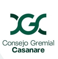 Consejo Gremial de Casanare rechaza bloqueos de vías y pide soluciones estructurales al paro arrocero