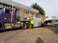 Incautaron tractomula que transportaba 200 libras de marihuana en Yopal