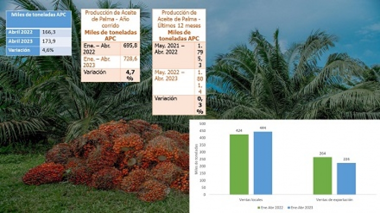 Producción de aceite de palma creció en un 4.7 por ciento