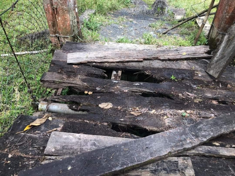 En pésimo estado se encuentra el puente Morales ubicado en la vereda El Vive del municipio de Recetor