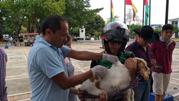 74 mascotas vacunó Secretaría de Salud de Yopal