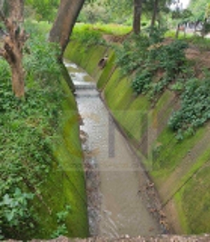 Denuncian contaminación por aguas residuales en el canal caño campiña en Yopal