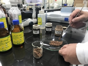 Corona y Ecopetrol desarrollan novedoso producto para retirar grasas y aceites del agua