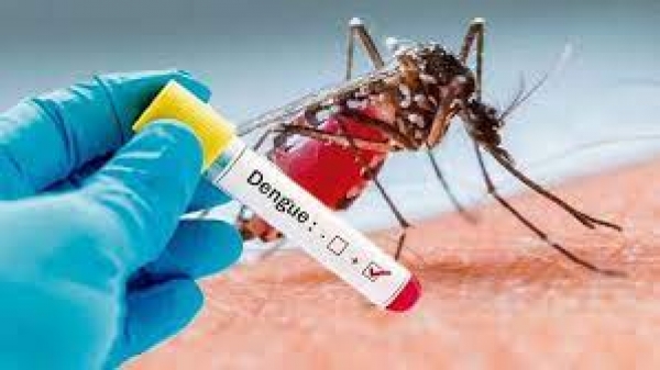 En alarma cuatro municipios de Casanare por casos de dengue