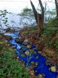 Posible contaminación en La Chaparrera por vertimiento de liquido extraño en fuente hidrica
