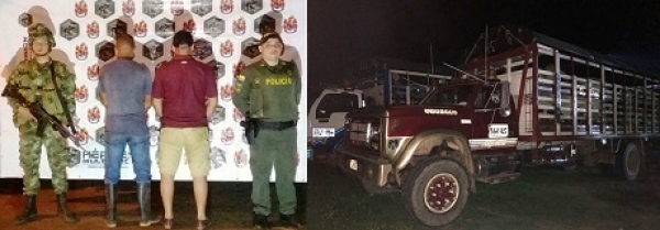 Pronta denuncia permitió frustrar millonario hurto de ganado