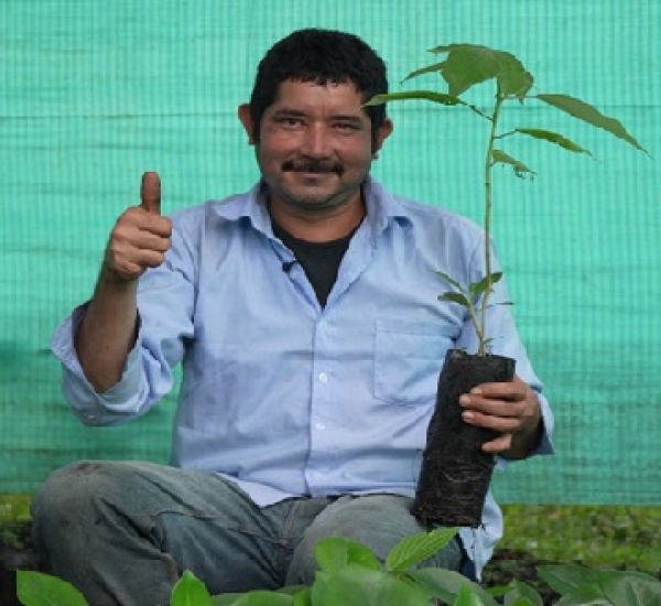 Ecopetrol impulsa restauración de bosque en Cagüí Primavera con participación comunitaria