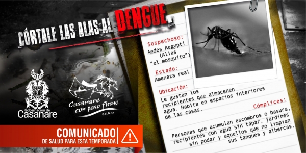 2719 casos notificados de dengue se presentan en Casanare