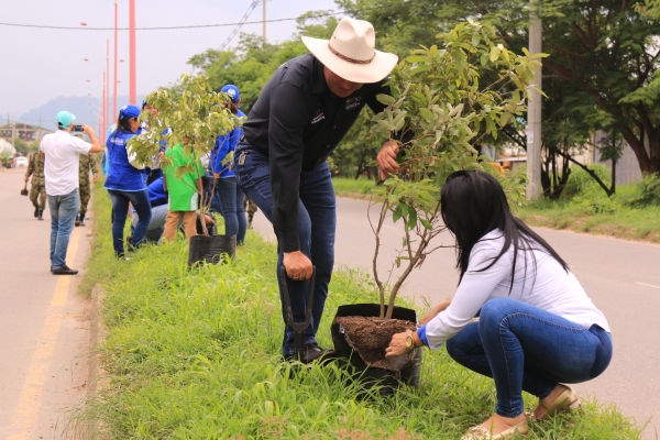 En Villa David sembrarán flor amarillos en conmemoración del Día Mundial del Medio Ambiente