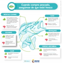 Recomendaciones para el consumo de pescado en Semana Santa
