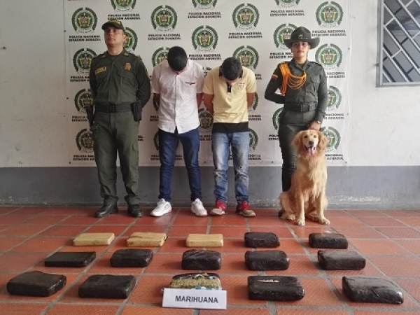 En un bus la Policía detectó 16 kilos de marihuana