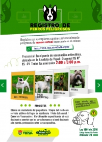 Caninos de razas potencialmente peligrosas deben ser registrados en Yopal