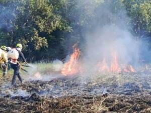 Incendios forestales en Orocué dejan un saldo de 920 Ha afectadas