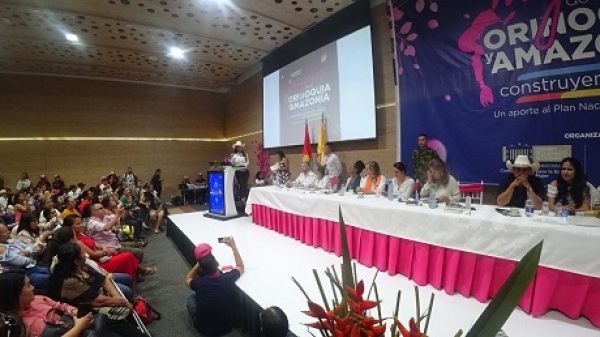 La Oficina Para la Mujer se implementaría en Casanare