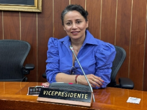 Sonia Bernal fue elegida vicepresidenta de Comisión de Derechos Humanos del Congreso