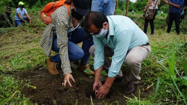 Con la siembra de árboles nativos, la EAAAY conmemorará el Día Mundial de la Tierra