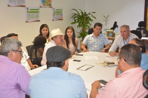 Pretensiones de importación de arroz a Ecuador alerta a autoridades de Casanare