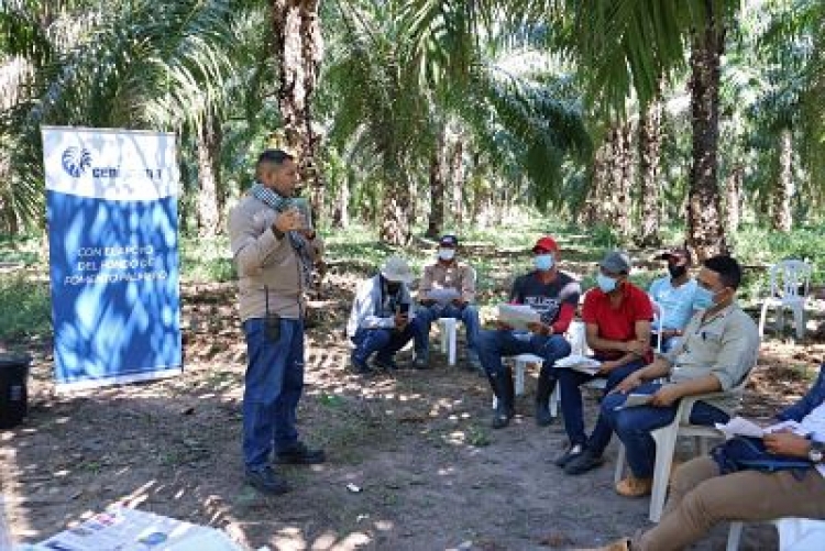 Cargill y Cenipalma suscriben convenio que aporta al cierre de brechas de sostenibilidad en la agroindustria de la palma de aceite en Colombia