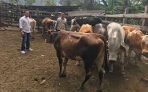 Unidad para las Víctimas entregó proyectos productivos en Recetor