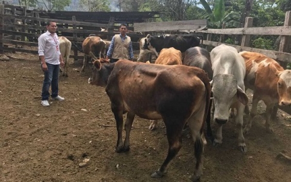 Unidad para las Víctimas entregó proyectos productivos en Recetor