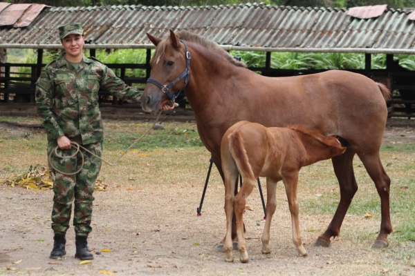 El Ejército Nacional resalta a una oficial en el día internacional de la Mujer