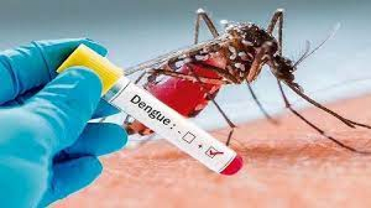 Epidemia por dengue se mantiene en Casanare