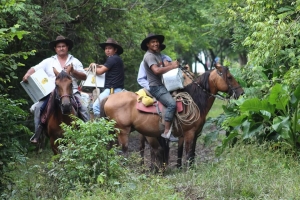 Familias damnificadas por deslizamientos en Sabanalarga recibieron asistencia humanitaria