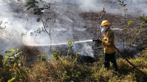 Varios incendios forestales se registraron ayer en Aguazul