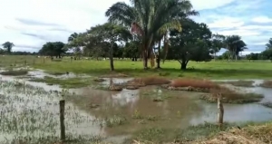 Inundaciones en vereda El Control de Hato Corozal dejan 120 familias damnificadas