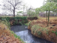 Morichal busca solucionar la contaminación del rio Charte