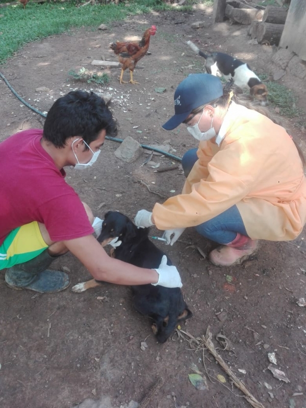 1000 perros y gatos de áreas rurales de Yopal fueron vacunados contra la rabia