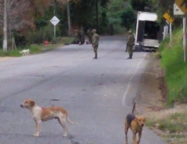 Ejército destruyó dos artefactos explosivos del ELN, en la vía del Cusiana