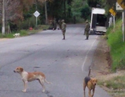 Ejército destruyó dos artefactos explosivos del ELN, en la vía del Cusiana