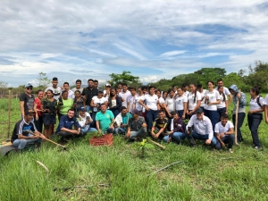 150 personas sembraron árboles en Paz de Ariporo