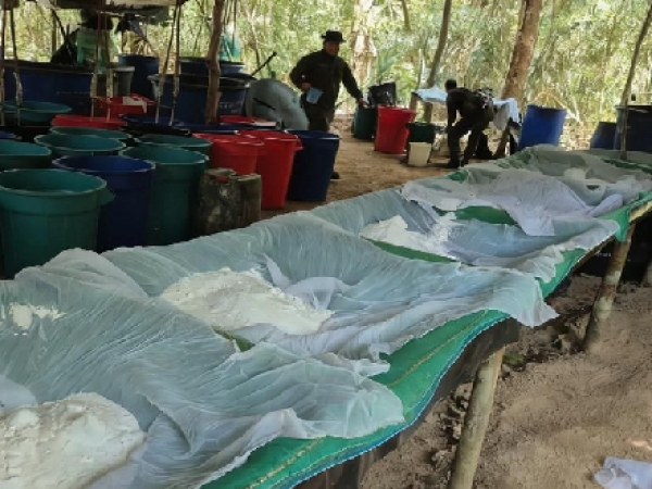Destrucción de 582 kilogramos de estupefacientes en operativo contra el narcotráfico en Casanare
