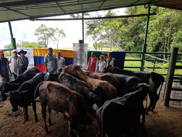 Víctimas de Recetor recibieron 19 unidades productivas