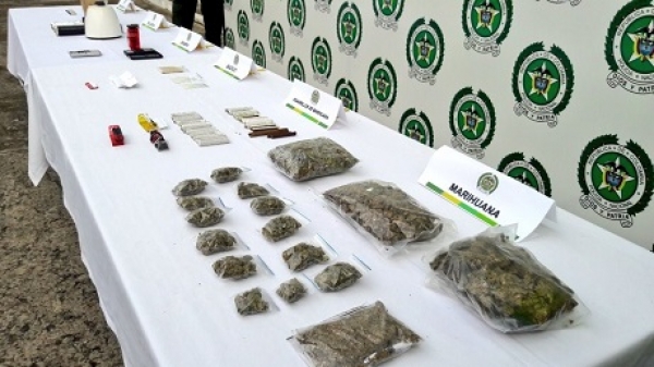 Marihuana, el alucinógeno más incautado en Casanare