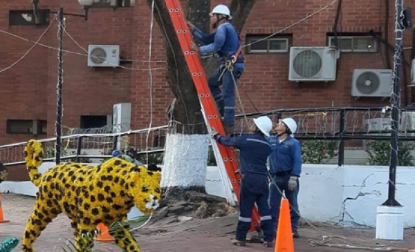 Por una navidad segura ENERCA, invita hacer uso eficiente de la Energía 