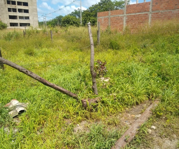 Mujer fue arrastrada por dos delincuentes que le robaron el celular en el barrio Villa Solomè I en Yopal