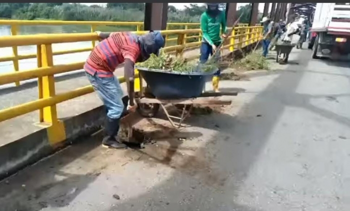 Con pica y pala en mano habitantes y concejales de Hato Corozal hacen limpieza a maleza a puente sobre el río Casanare en límites entre Arauca y Casanare