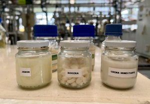 Ecopetrol desarrolló cinco productos biocosméticos a partir del aceite de palma