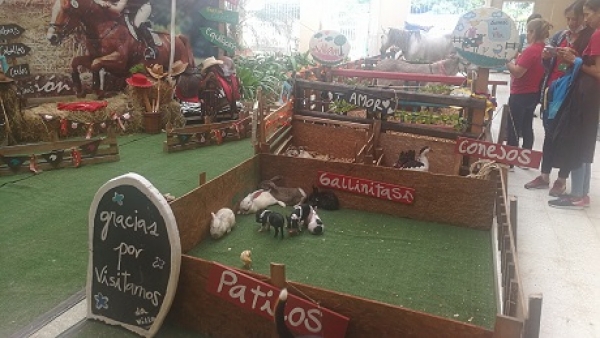 Una granja al interior de HORO ESE fue blanco de críticas