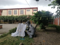 15 menores y 3 adultos afectados ayer por ataque de abejas en colegio de Yopal