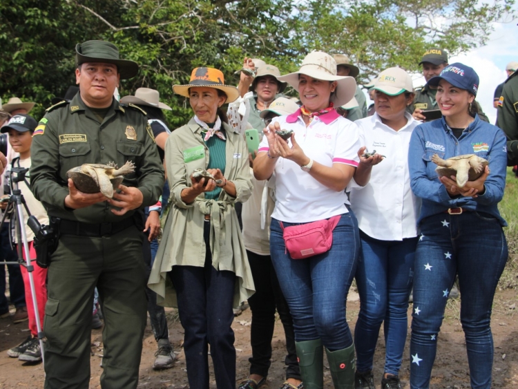 400 tortugas liberadas en el estero El Mangón, Reserva la Esperanza