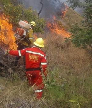 Cerca de 1.000 hectáreas se quemaron en Paya y Nunchía por incendio forestal