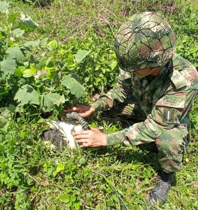 Nuevamente Ejército Nacional evitó una acción terrorista contra la población civil en Arauca
